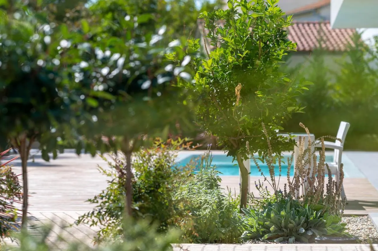 Luxury Villa One Way Banjole Hırvatistan